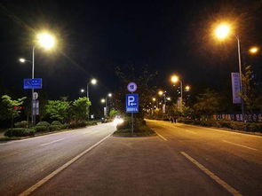 眉山仁寿市政路灯升级改造工程启动，草坪灯纳入整体规划