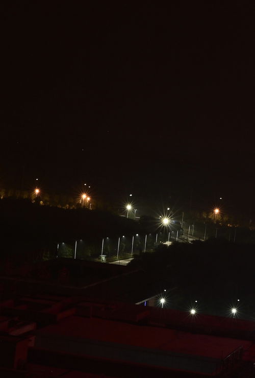 城市之光 路灯与草坪灯的双重守护